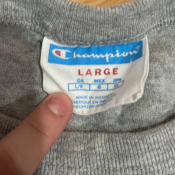 Men’s Vintage Champion Diagonal Heritage Script Graphic T-shirt - Picture 2 of 4